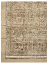 MLLYMOL-08ANML_25.webp