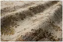 RIGNREN-03IVML_17.webp