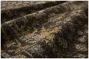 RIGNREN-05BSML_17.webp