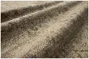 RIGNREN-06FGML_17.webp