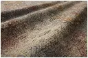RIGNREN-08SGFD_17.webp