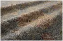 RIGNREN-09DEML_17.webp