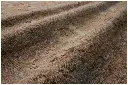 RIGNREN-13PIML_17.webp