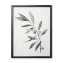 WOOD FRAME ANCIENT GROVES