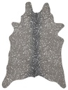 BRYCE BZ-03 GRAPHITE / SILVER