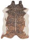 BRYCE BZ-10 WALNUT / CHAMPAGNE