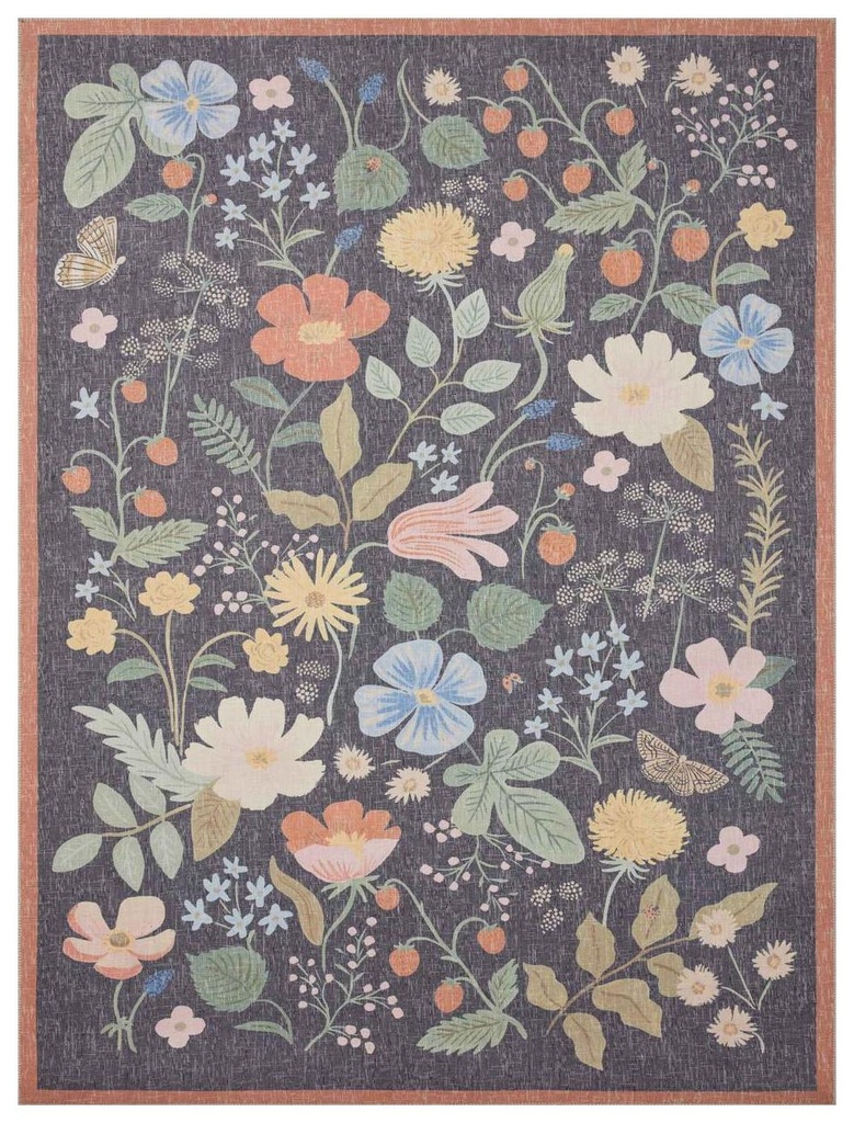 COTSWOLDS COT-01 BLACK