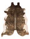 GRAND CANYON GC-01 CAMEL / BEIGE