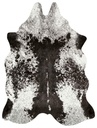 GRAND CANYON GC-03 IVORY / CHARCOAL