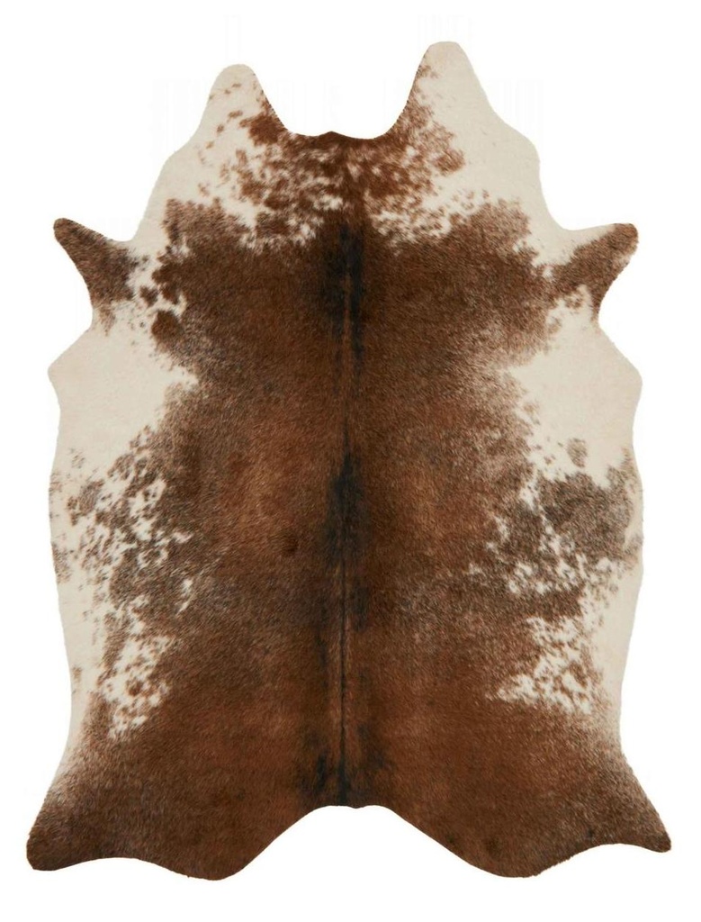 GRAND CANYON GC-14 COFFEE / IVORY