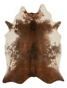 GRAND CANYON GC-14 COFFEE / IVORY