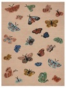 HIGHGROVE HIG-01 BLUSH
