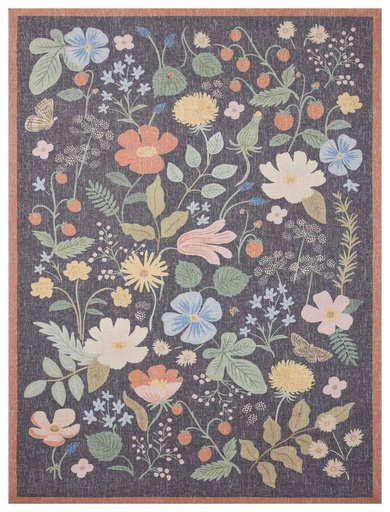 COTSWOLDS COT-01 BLACK