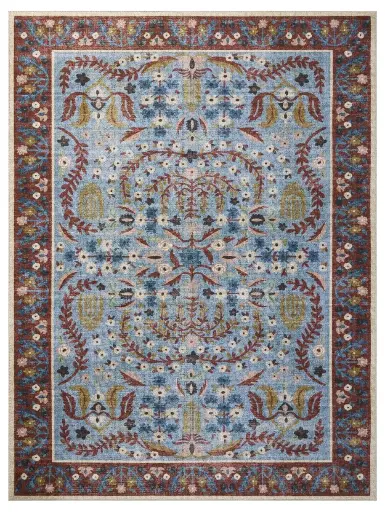 CANOPY CNP-03 RED / BLUE